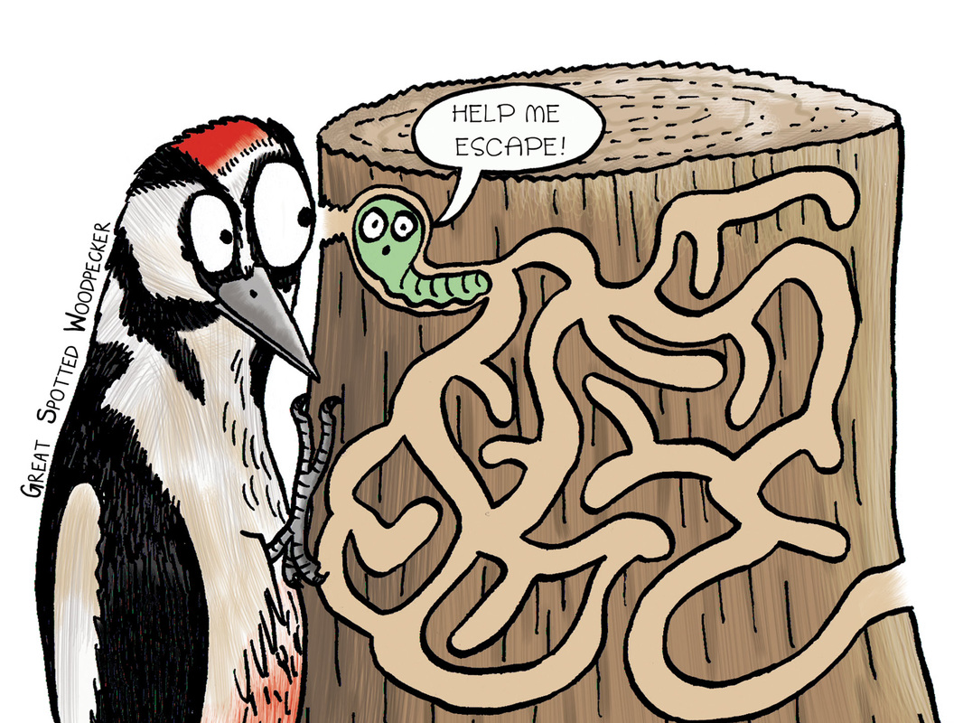 Humorous cartoon illustration of woodpecker trying to eat grub hiding in tree trunk maze